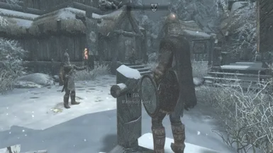 Optional. Winterhold guard gloves, sleeves, cloak, shield.