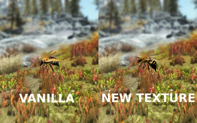 Bee Texture Comparison