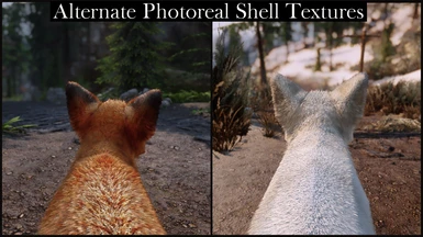 Alternate Photoreal Shell Textures