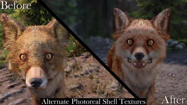Alternate Photoreal Shell Texture Comparison
