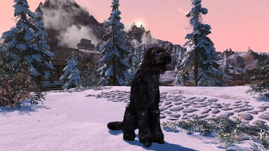Fluffy Barbas | No ENB Particle Light | R.A.S.S | by Jay'all