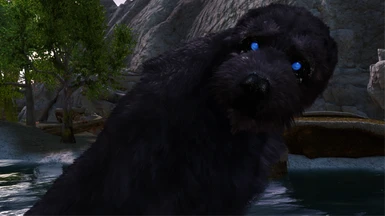 Fluffy Barbas | No ENB Particle Light | by Jay'all