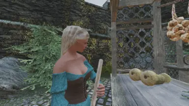Farm04Alt Replacer