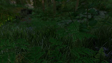 Vanilla Grasses Reimagined at Skyrim Special Edition Nexus - Mods and ...