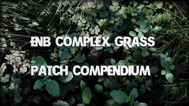 ENB Complex Grass - Patch Compendium for various grass mods