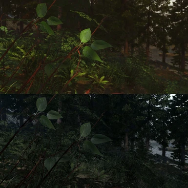 Origin of Forest 3D Grass looks incredible