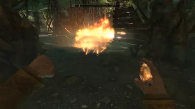 Xploding Barrels 02