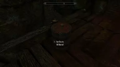Xploding Barrels 04