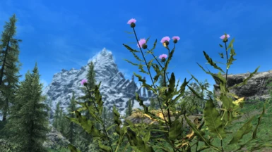 Cathedral - 3D Thistle