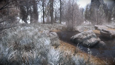 Frozen Marsh
