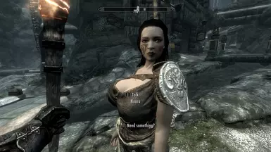 New Stormcloak Housecarl