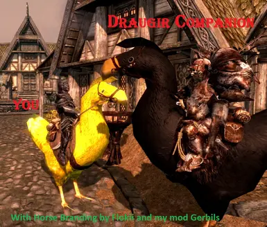 Draugir Companion on Chocobo 