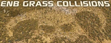 ENB Grass Collisions