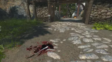 Hammerfell border unique weapon