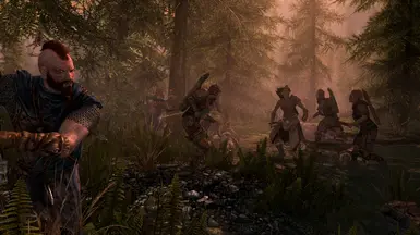 Skyrim vs. Valenwood