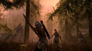 Skyrim vs. Valenwood