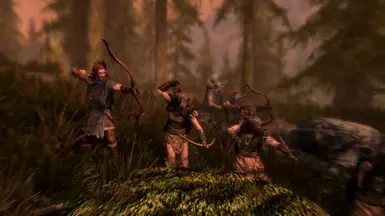 Skyrim vs. Valenwood