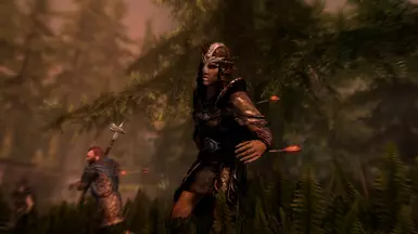 Skyrim vs. Valenwood