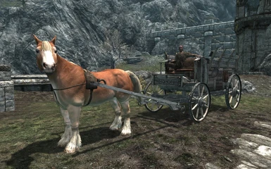 Realistic Primitive Horse Breeds