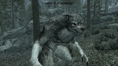 Optional diversified werewolf head 1