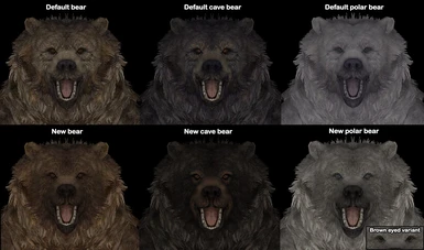 Bear1