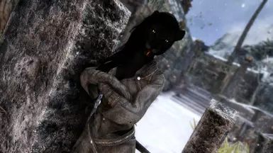 Just chilling and waiting for my next target.