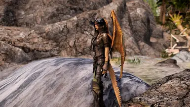 Half Dragon Race for SSE at Skyrim Special Edition Nexus - Mods and  Community