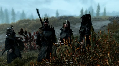 Guards-Stormcloaks-and-Sons_Armor-ReplacerBYJCS at Skyrim Special ...