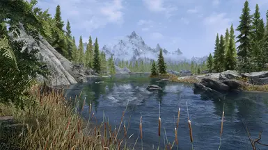 DynDOLOD 3 Alpha At Skyrim Special Edition Nexus - Mods And Community