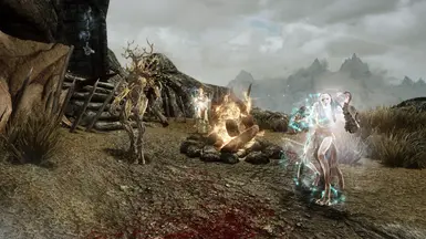 Hagraven shields her allies and summons a healer