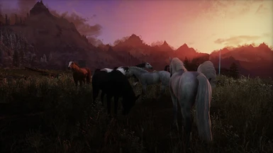 all the CC wild horses patched for SC Horses :)