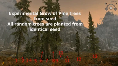 trees from seed