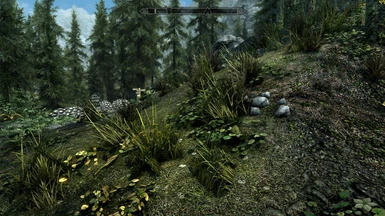 ENB Complex Grass enabled