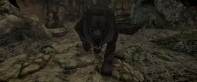 Fluffy Cave Bears at Skyrim Special Edition Nexus - Mods and Community