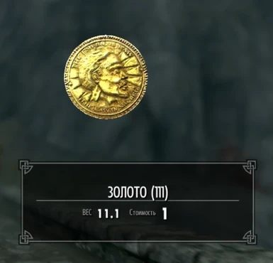 Inventory coins