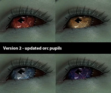 Version 2.0 - updated orc pupil sample