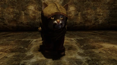 TIL M'aiq lives in a cell called 'Elsweyr' when not wandering