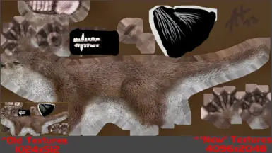 Texture Size Comparison