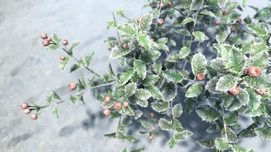 Cathedral - 3D Snow Berries