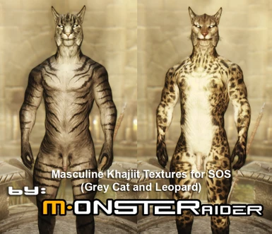 Masculine Khajiit Textures (Grey Cat and Leopard) at Skyrim Special