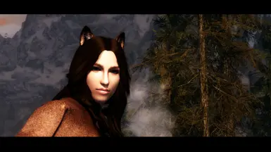 Top mods at Skyrim Special Edition Nexus Mods and Community