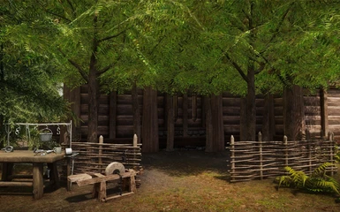 A small grove created from Ironwood trees.