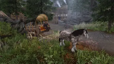 Falkreath Alternate Position