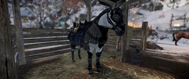 Horse Armors for Skyrim Patch
