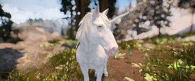 CC Wild Horses - White Unicorn