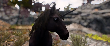 CC Wild Horses - Black Unicorn