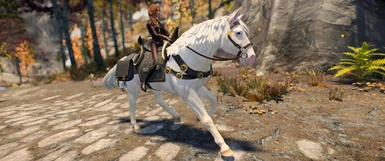 Craftable Saddles for TW3 Patch