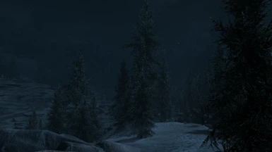 V2: Pines at night