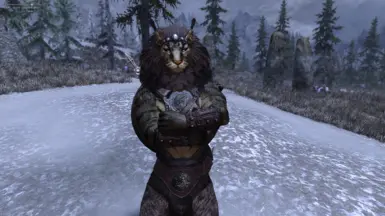 Skyrim chargen ошибка 8