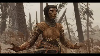 Khajiit ears show